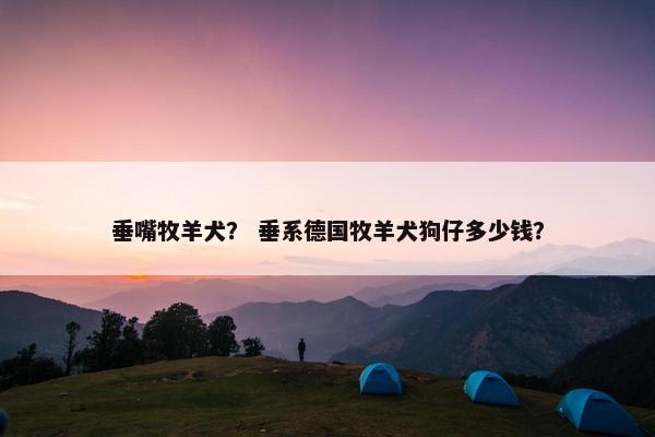 垂嘴牧羊犬？ 垂系德国牧羊犬狗仔多少钱？