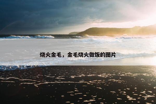 烧火金毛，金毛烧火做饭的图片