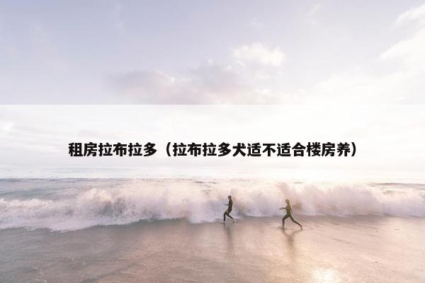 租房拉布拉多（拉布拉多犬适不适合楼房养）