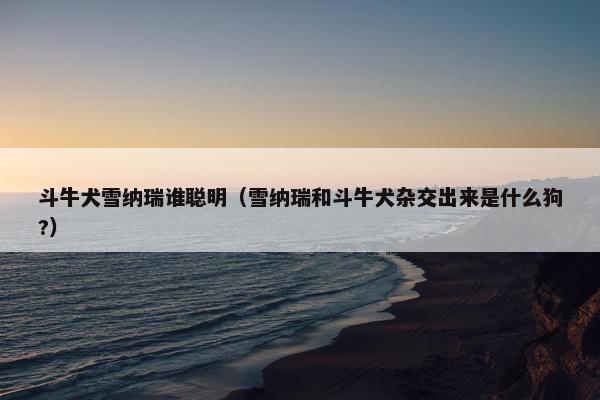 斗牛犬雪纳瑞谁聪明（雪纳瑞和斗牛犬杂交出来是什么狗?）