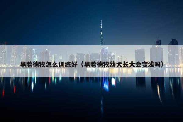 黑脸德牧怎么训练好（黑脸德牧幼犬长大会变浅吗）