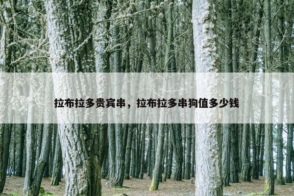 拉布拉多贵宾串，拉布拉多串狗值多少钱