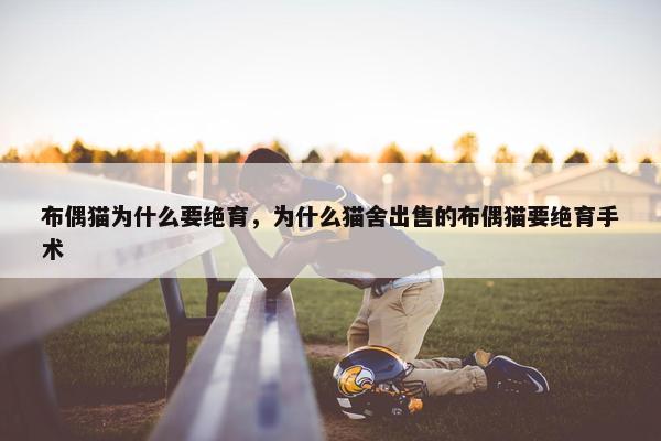 布偶猫为什么要绝育,为什么猫舍出售的布偶猫要绝育手术