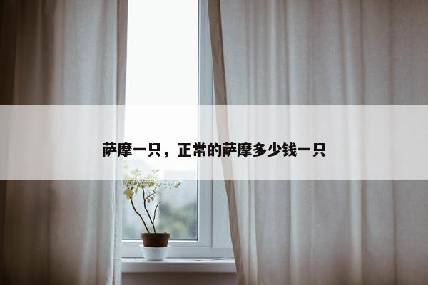 萨摩一只，正常的萨摩多少钱一只
