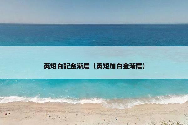 英短白配金渐层（英短加白金渐层）
