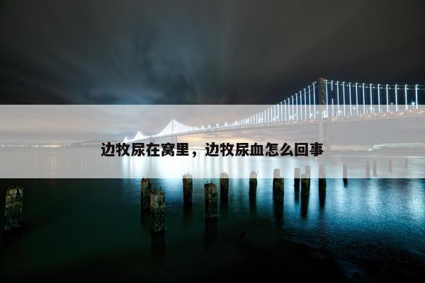 边牧尿在窝里，边牧尿血怎么回事