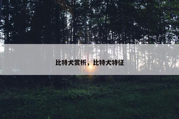 比特犬赏析，比特犬特征