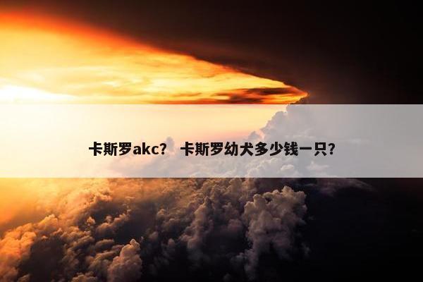 卡斯罗akc？ 卡斯罗幼犬多少钱一只？