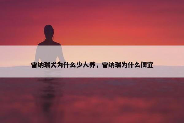 雪纳瑞犬为什么少人养，雪纳瑞为什么便宜