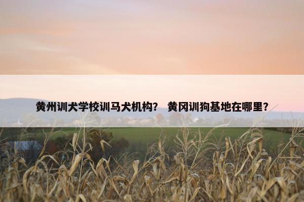 黄州训犬学校训马犬机构？ 黄冈训狗基地在哪里？
