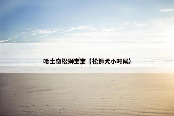 哈士奇松狮宝宝（松狮犬小时候）