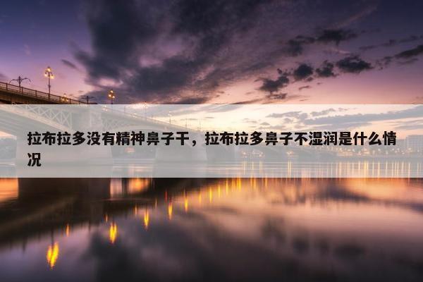 拉布拉多没有精神鼻子干，拉布拉多鼻子不湿润是什么情况