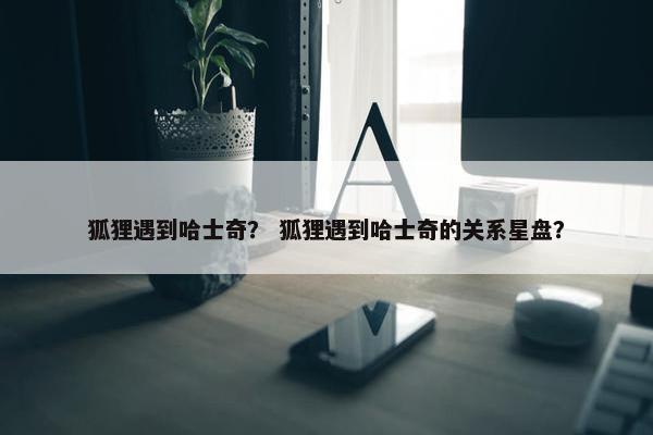 狐狸遇到哈士奇? 狐狸遇到哈士奇的关系星盘?