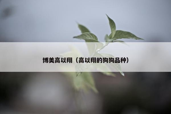 高以翔
