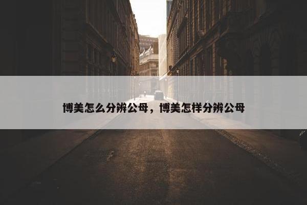 博美怎么分辨公母，博美怎样分辨公母