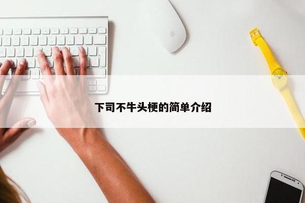 下司不牛头梗的简单介绍