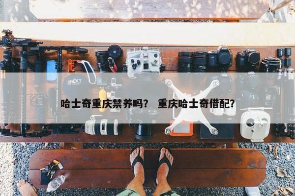 哈士奇重庆禁养吗？ 重庆哈士奇借配？