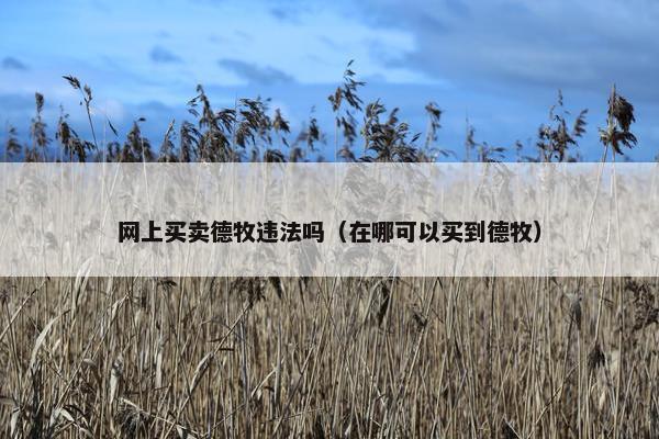 网上买卖德牧违法吗（在哪可以买到德牧）