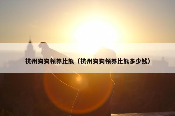 杭州狗狗领养比熊(杭州狗狗领养比熊多少钱)