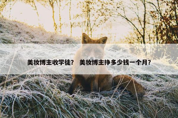 美妆博主收学徒? 美妆博主挣多少钱一个月?