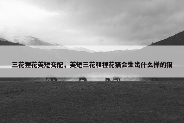 三花狸花英短交配，英短三花和狸花猫会生出什么样的猫