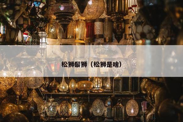 松狮鬃狮（松狮是啥）