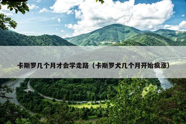 斯罗 第15页