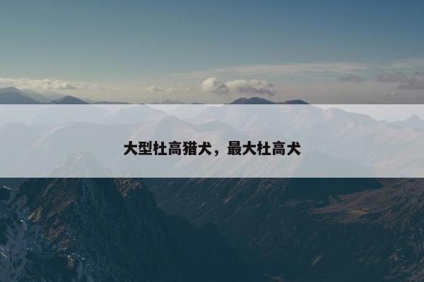 大型杜高猎犬，最大杜高犬