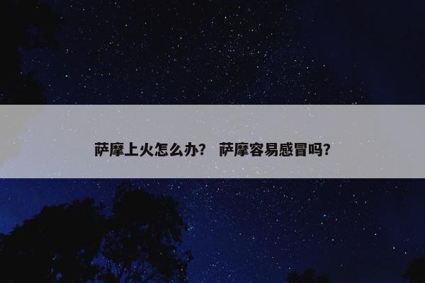 萨摩上火怎么办？ 萨摩容易感冒吗？