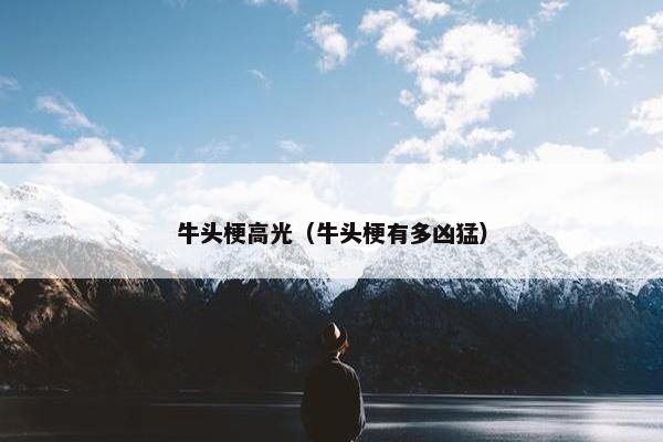 牛头梗高光（牛头梗有多凶猛）