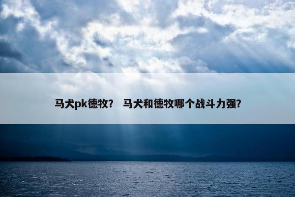 马犬pk德牧？ 马犬和德牧哪个战斗力强？