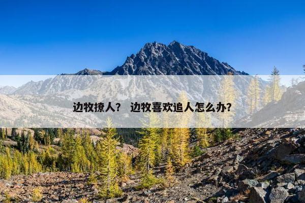 边牧撩人？ 边牧喜欢追人怎么办？