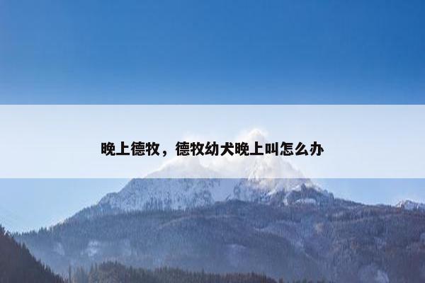 晚上德牧，德牧幼犬晚上叫怎么办