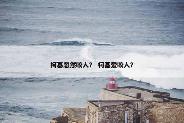 柯基忽然咬人？ 柯基爱咬人？