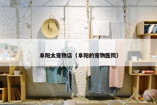 阜阳太宠物店（阜阳的宠物医院）