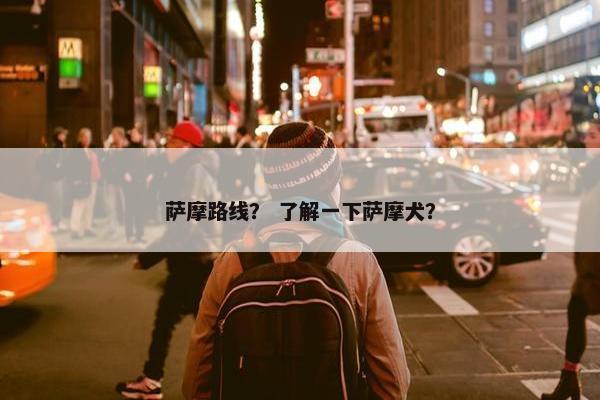 萨摩路线？ 了解一下萨摩犬？