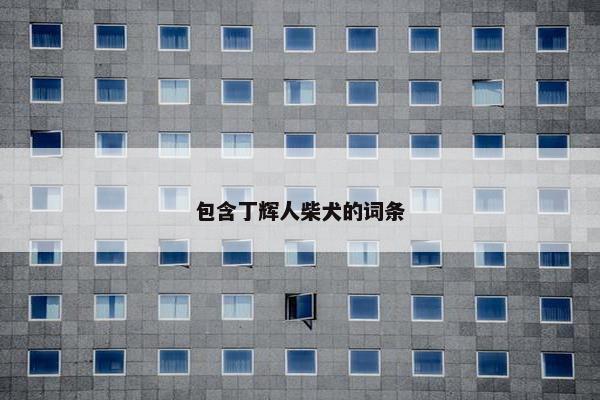 包含丁辉人柴犬的词条