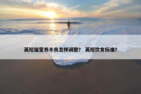 英短猫营养不良怎样调整？ 英短饮食标准？