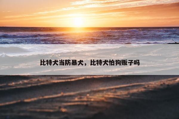 比特犬当防暴犬，比特犬怕狗贩子吗
