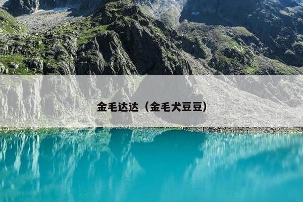 来福 第2页