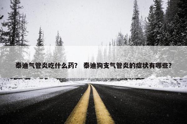 泰迪气管炎吃什么药？ 泰迪狗支气管炎的症状有哪些？