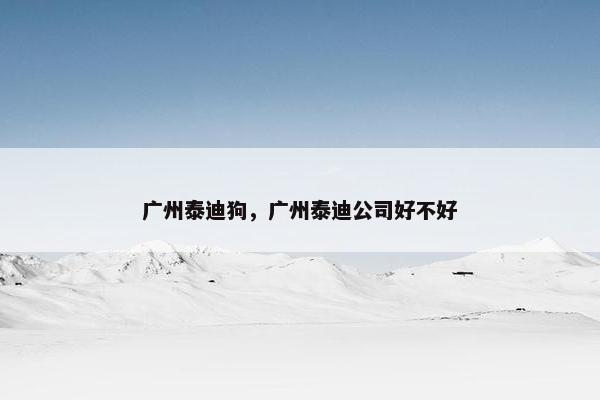 广州泰迪狗,广州泰迪公司好不好