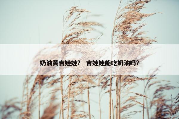 奶油黄吉娃娃? 吉娃娃能吃奶油吗?