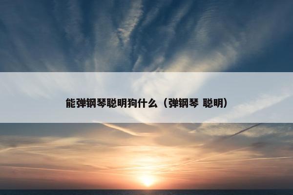 能弹钢琴聪明狗什么(弹钢琴 聪明)