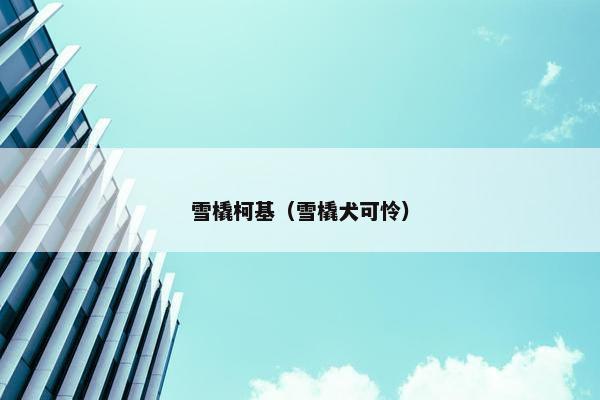 雪橇柯基(雪橇犬可怜)