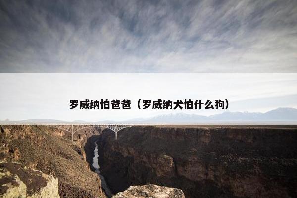 罗威纳怕爸爸（罗威纳犬怕什么狗）