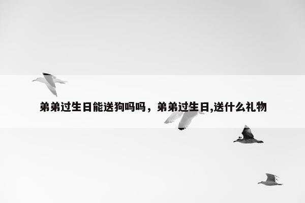 弟弟过生日能送狗吗吗，弟弟过生日,送什么礼物