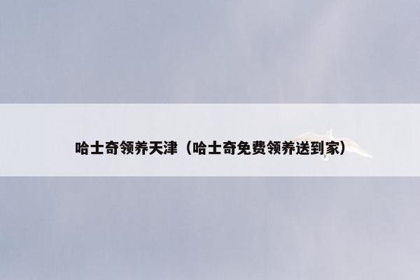 哈士奇领养天津（哈士奇免费领养送到家）