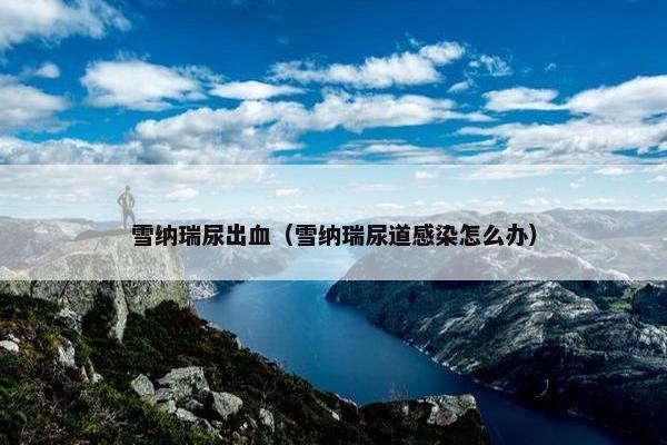 雪纳瑞尿出血（雪纳瑞尿道感染怎么办）