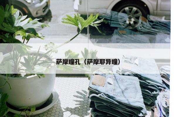 萨摩瞳孔(萨摩耶异瞳)